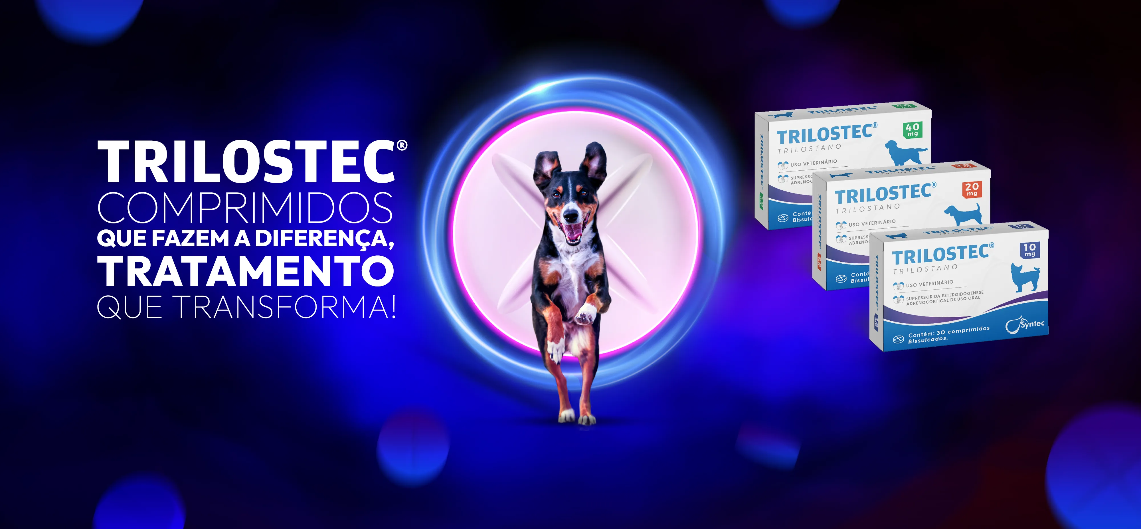 Destaque Syntec